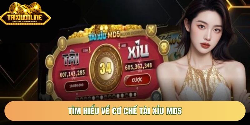 Tìm hiểu về cơ chế Tài xỉu MD5